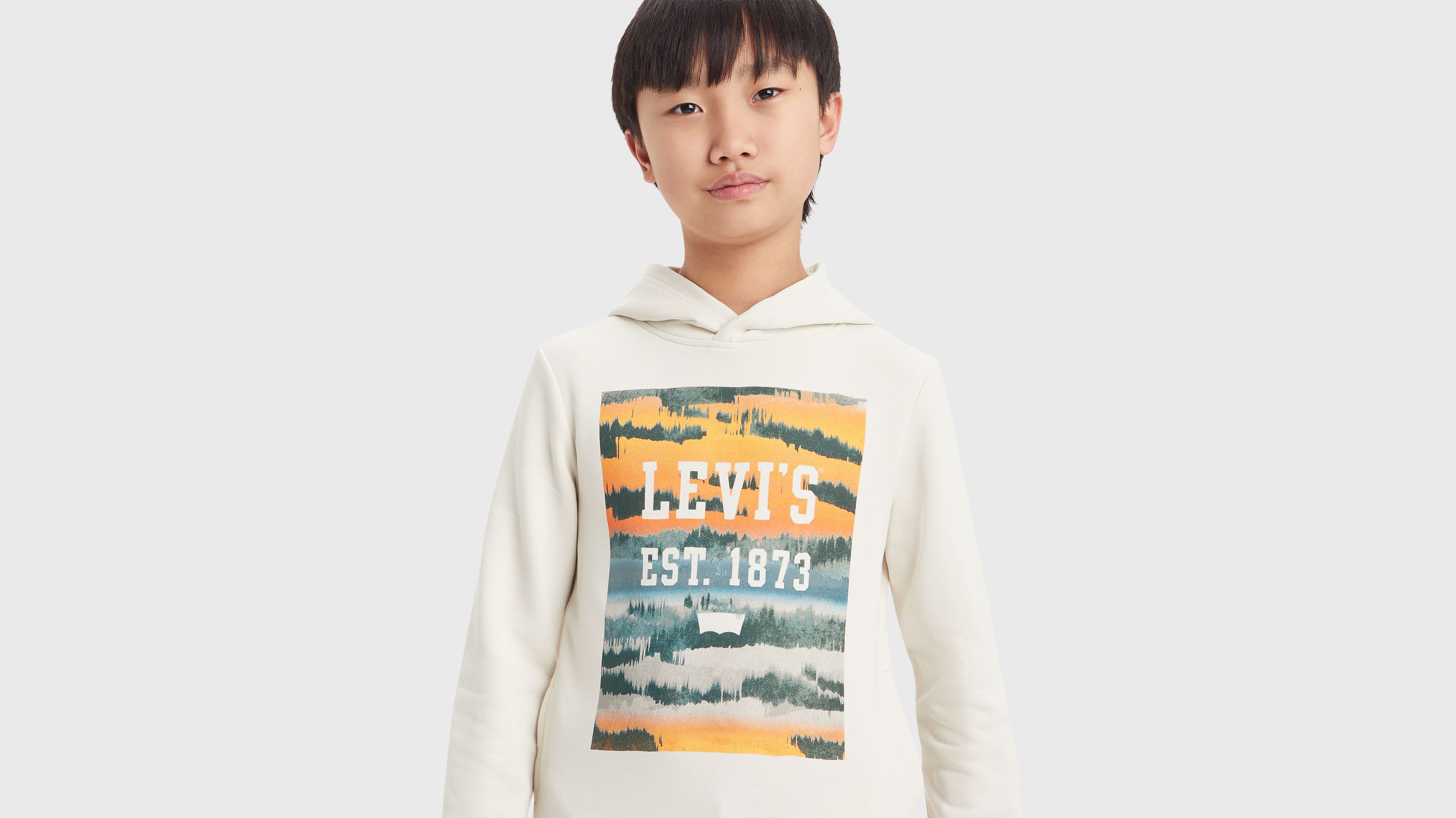 Teenager Landscape Box Hoodie 3