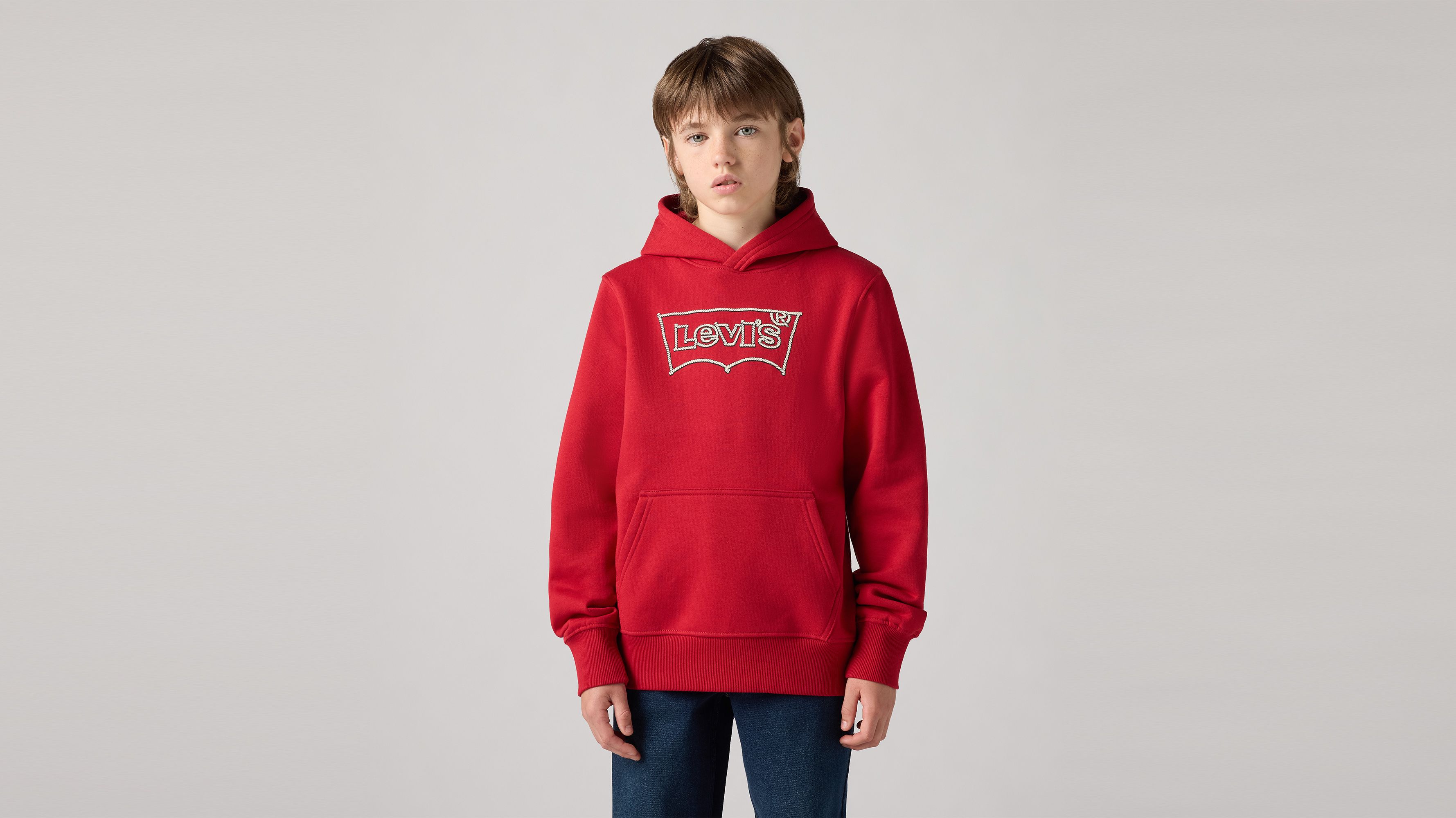 Sudadera Niño Levi´s Lvb Pullover Hoodie | Meses sin interés