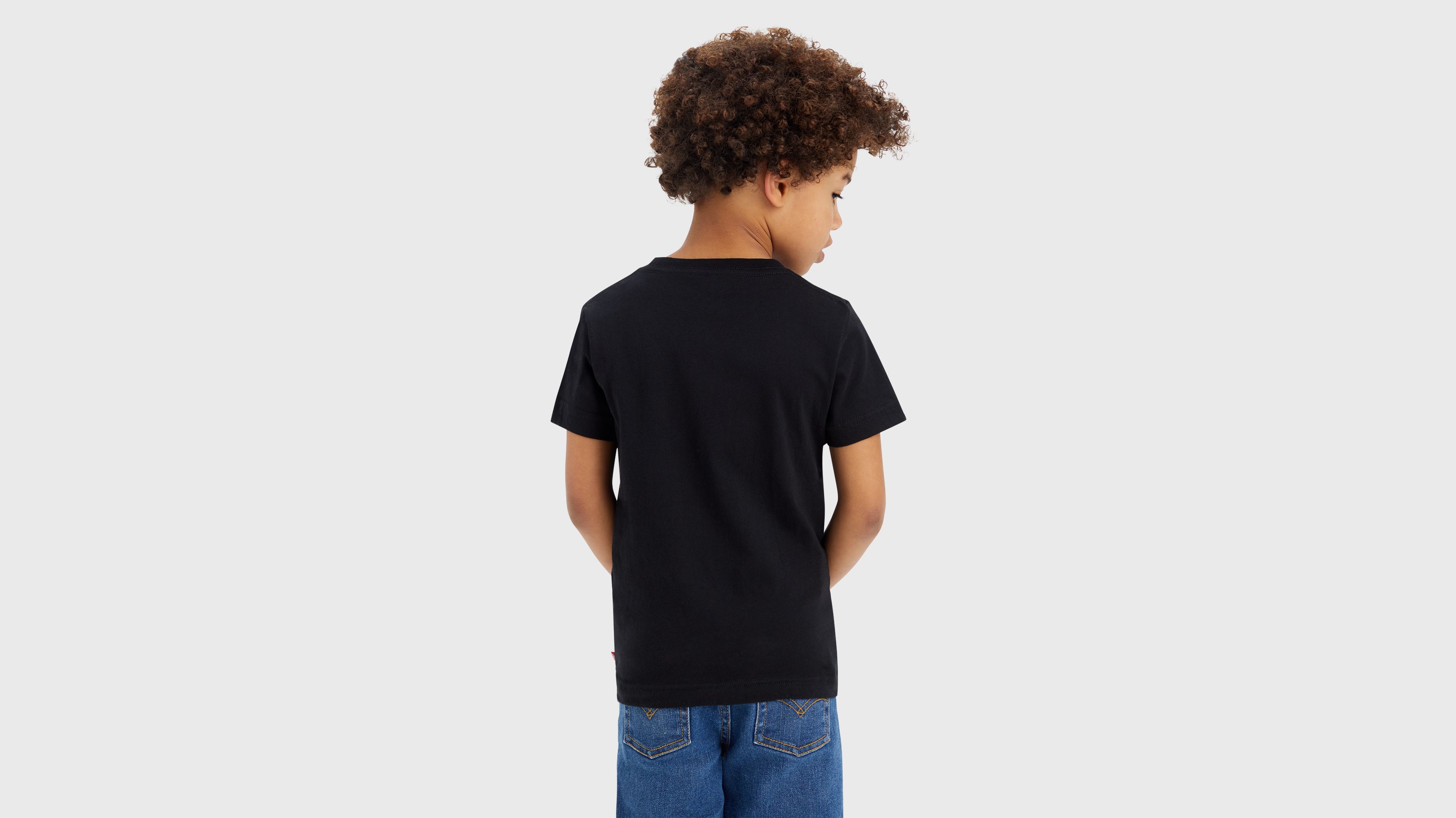 Camiseta a cuadros degradados con logotipo Poster 2