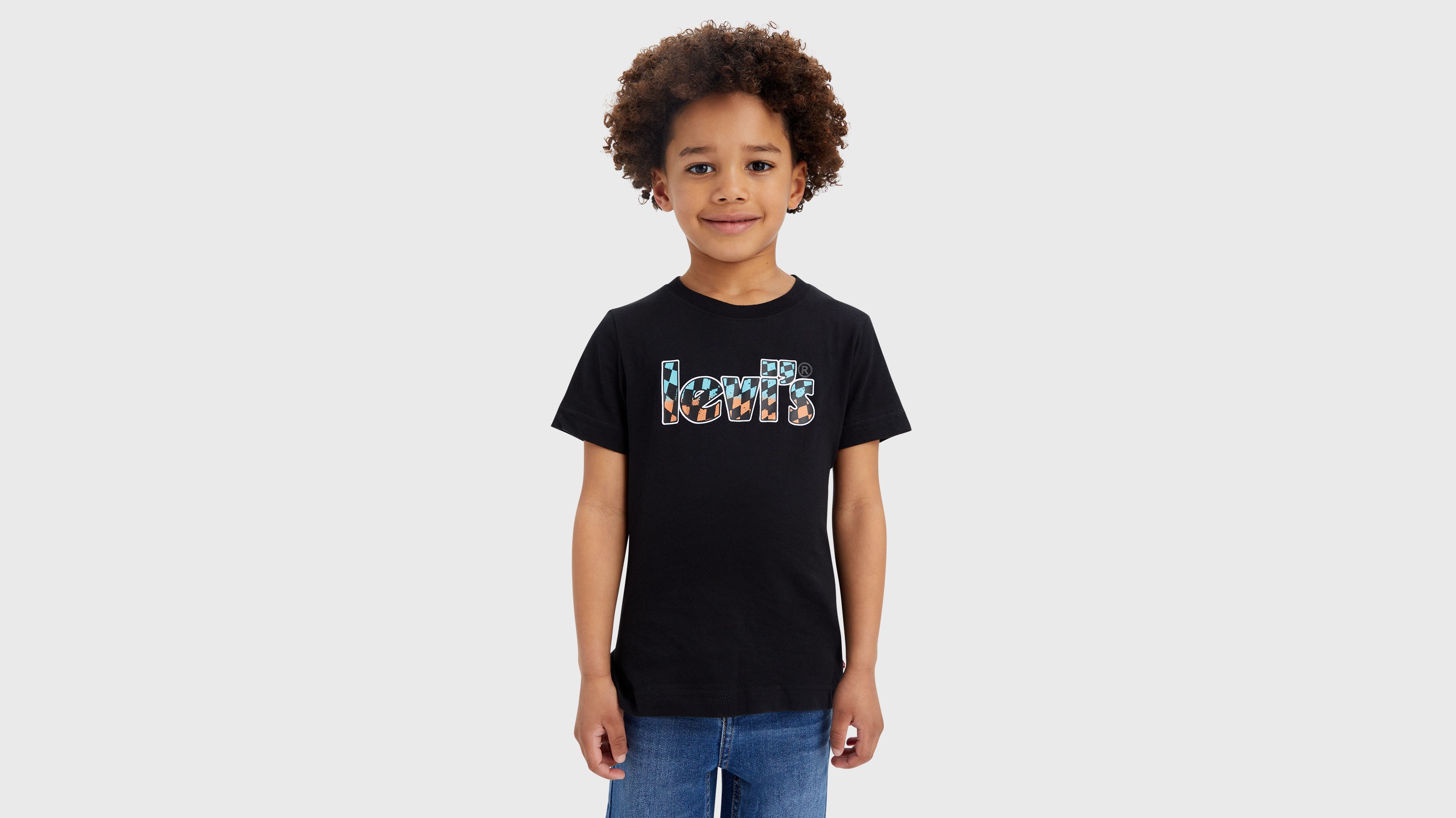 Camiseta a cuadros degradados con logotipo Poster 1