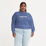 Standard Sweatshirt met ronde hals (Plus Size) 1