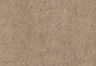 Garment Dye Fungi Jersey - Braun