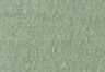 Garment Dye Laurel Wreath Jersey - Green