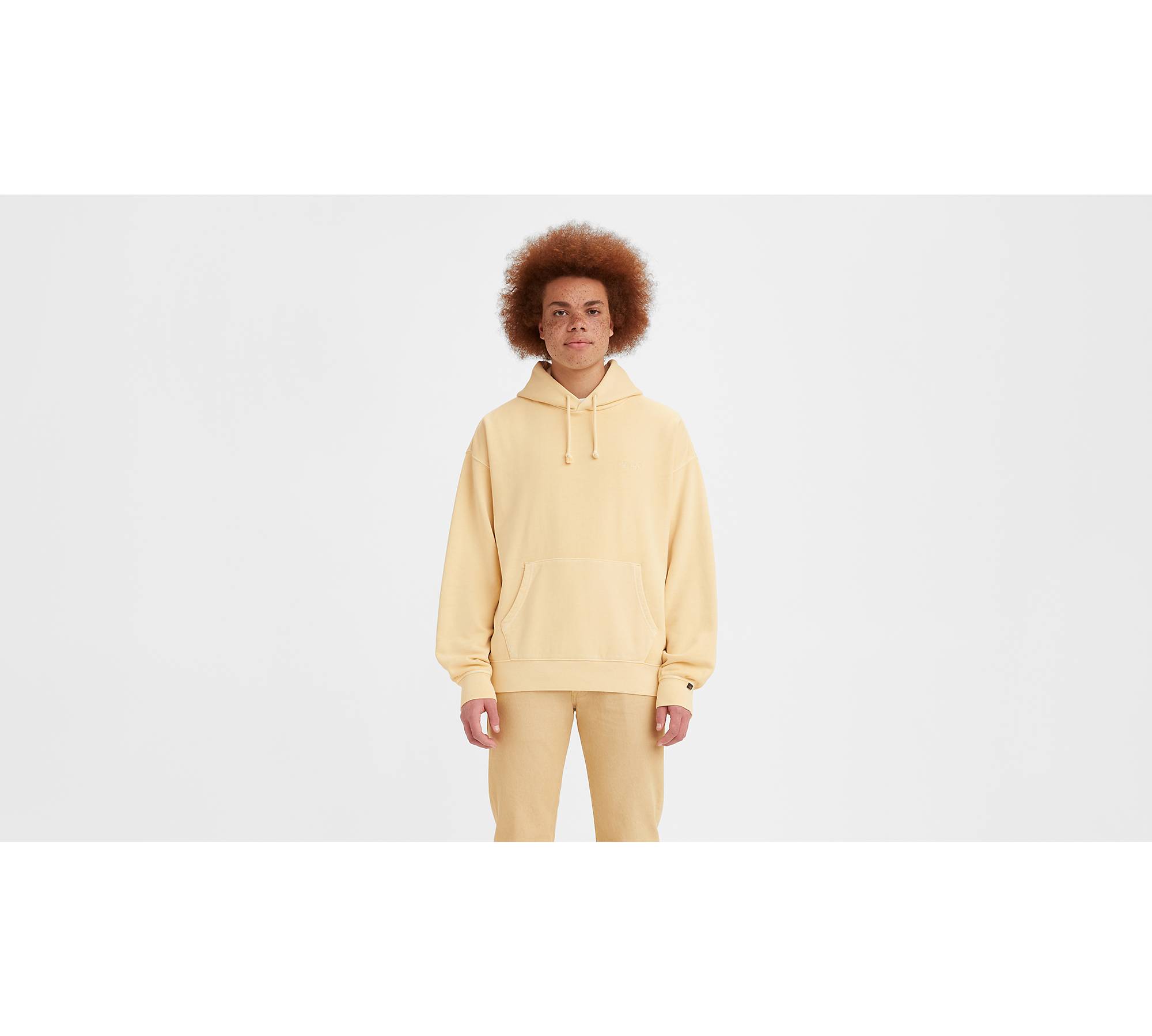 Levi's® Fresh Hoodie Sweatshirt - Brown | Levi's® US
