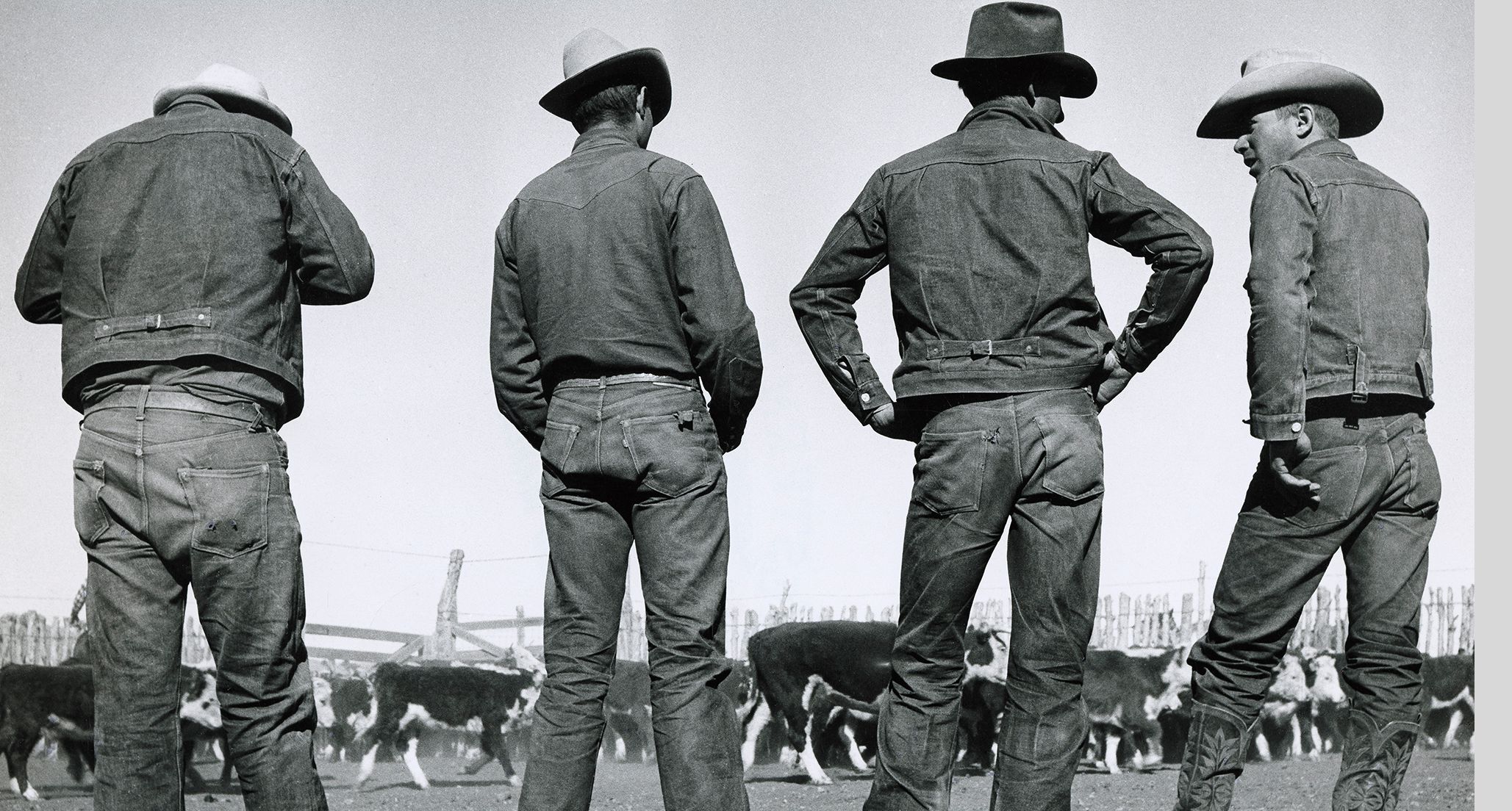 the history of levi strauss