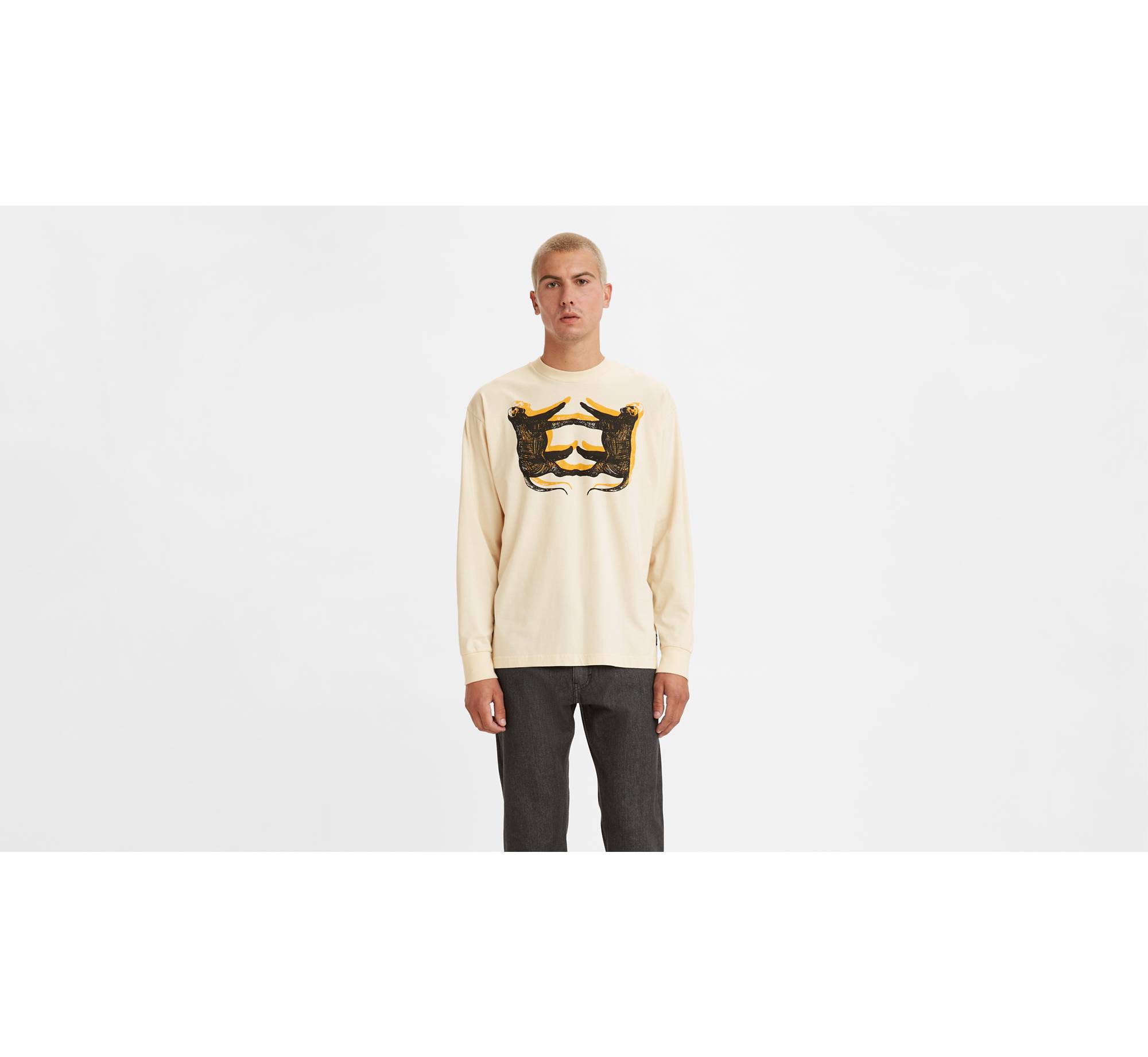 Levi's® Skateboarding Graphic Boxy Long Sleeve T-Shirt 1