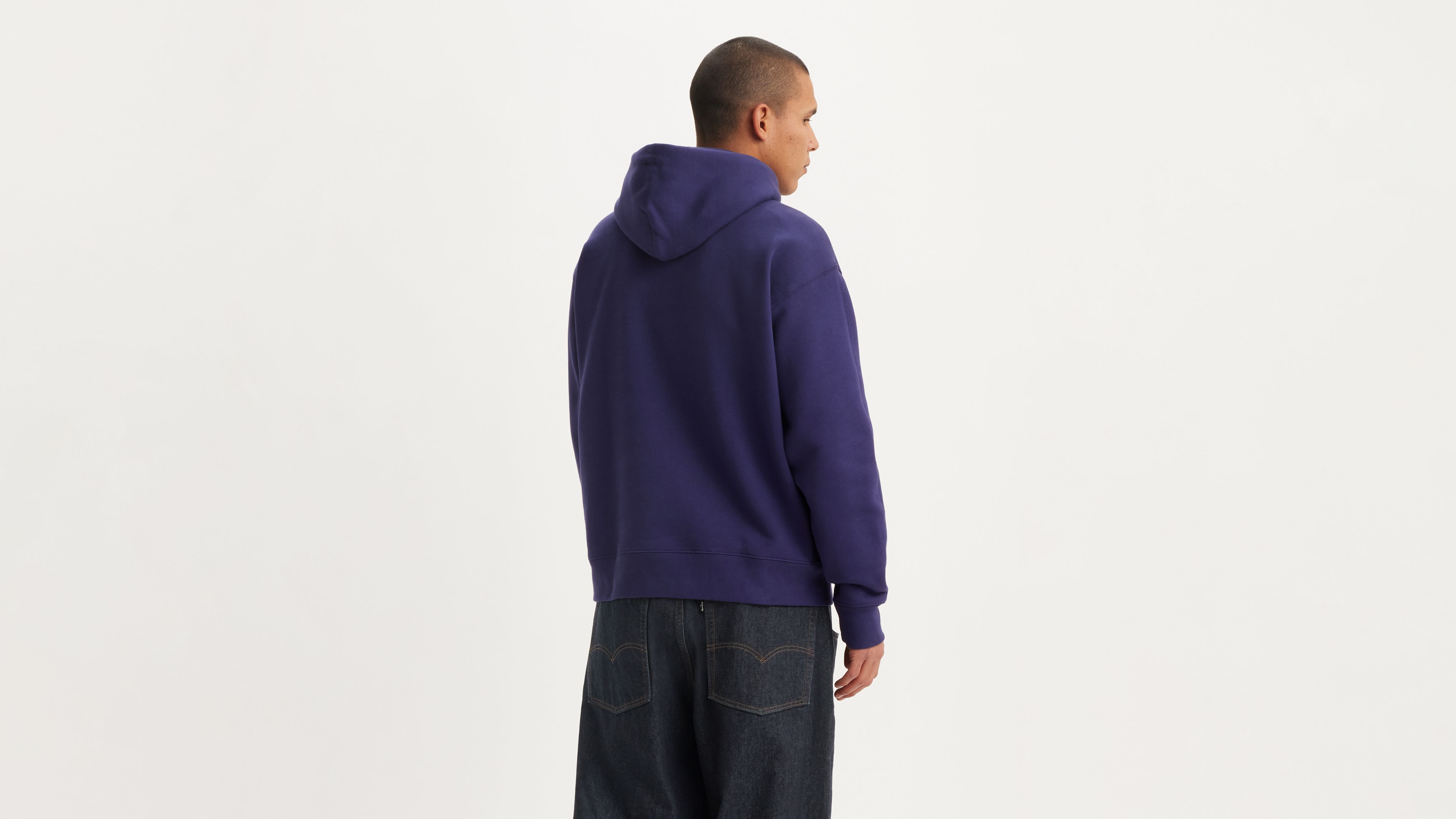 Levi's Skateboarding Hooded Sweatshirt In Chenille Patch