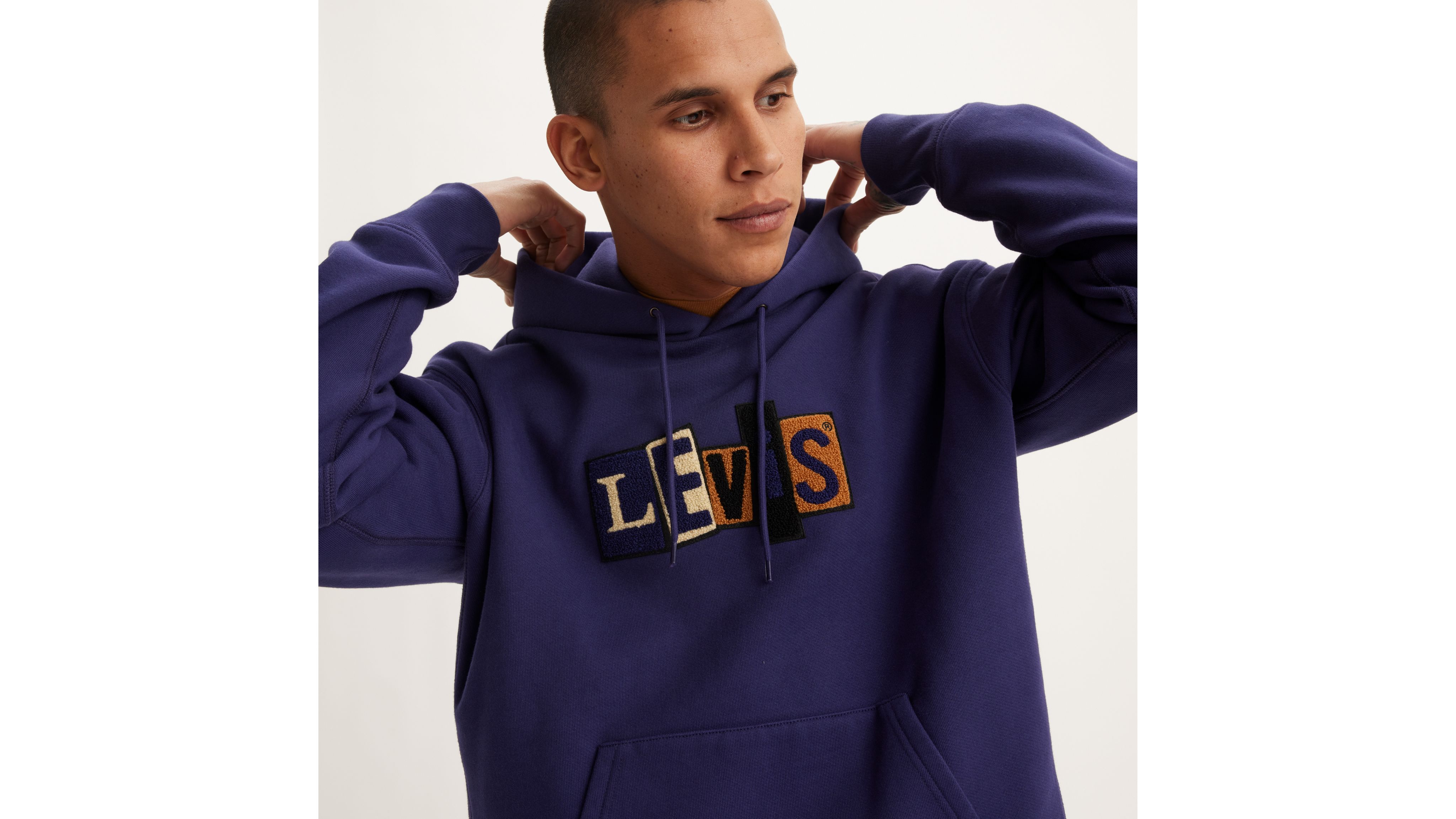 Levi's Skateboarding Hooded Sweatshirt In Chenille Patch