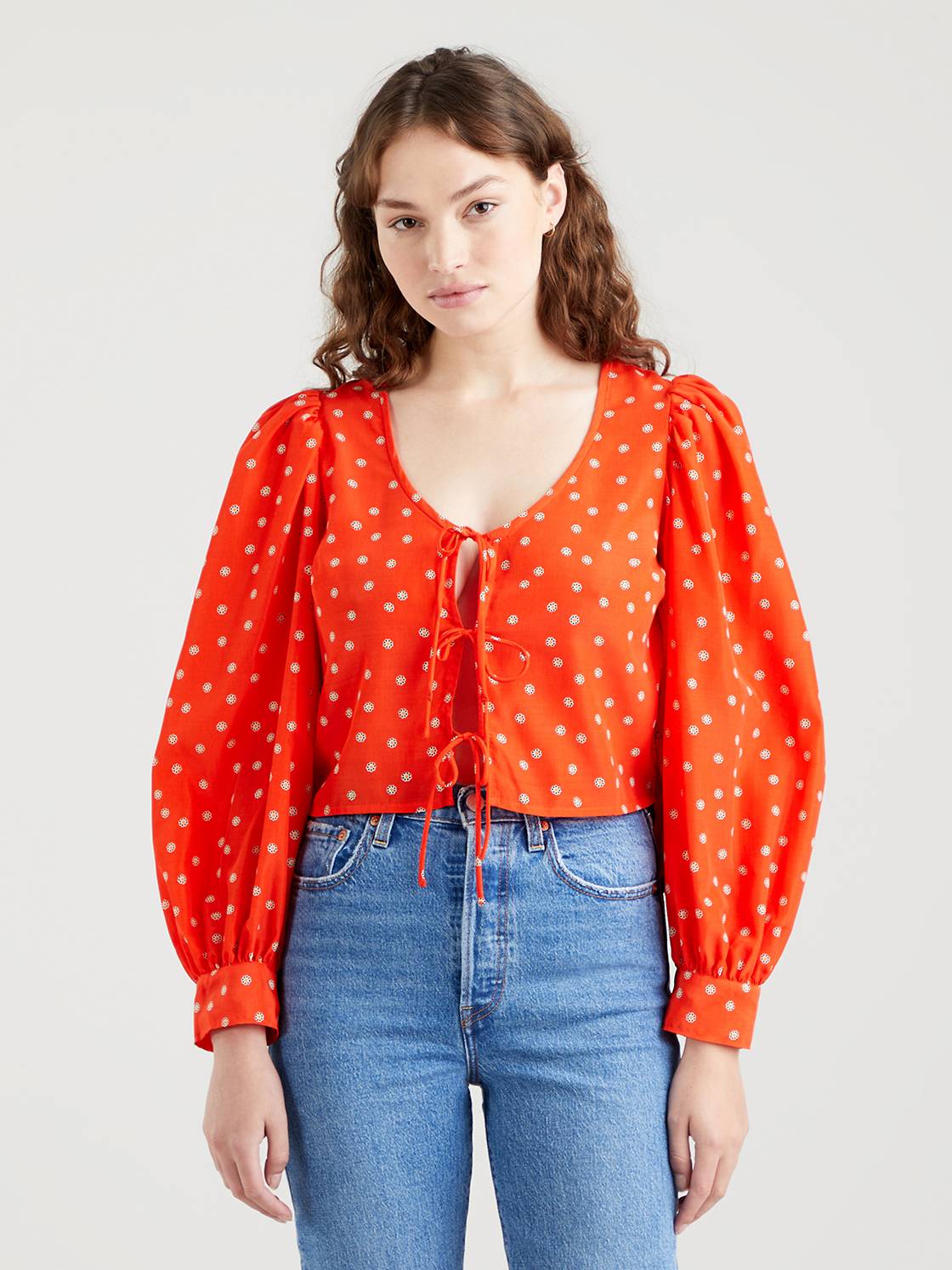Fawn Tie Blouse 1