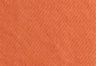 Orange Garment Dye - Orange - 501® '90s Women's Shorts