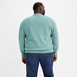 Relaxed Graphic Crewneck Sweatshirt (Big & Tall) 2