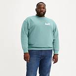 Relaxed Sweatshirt mit Rundhalsausschnitt und Grafik (Big & Tall) 1