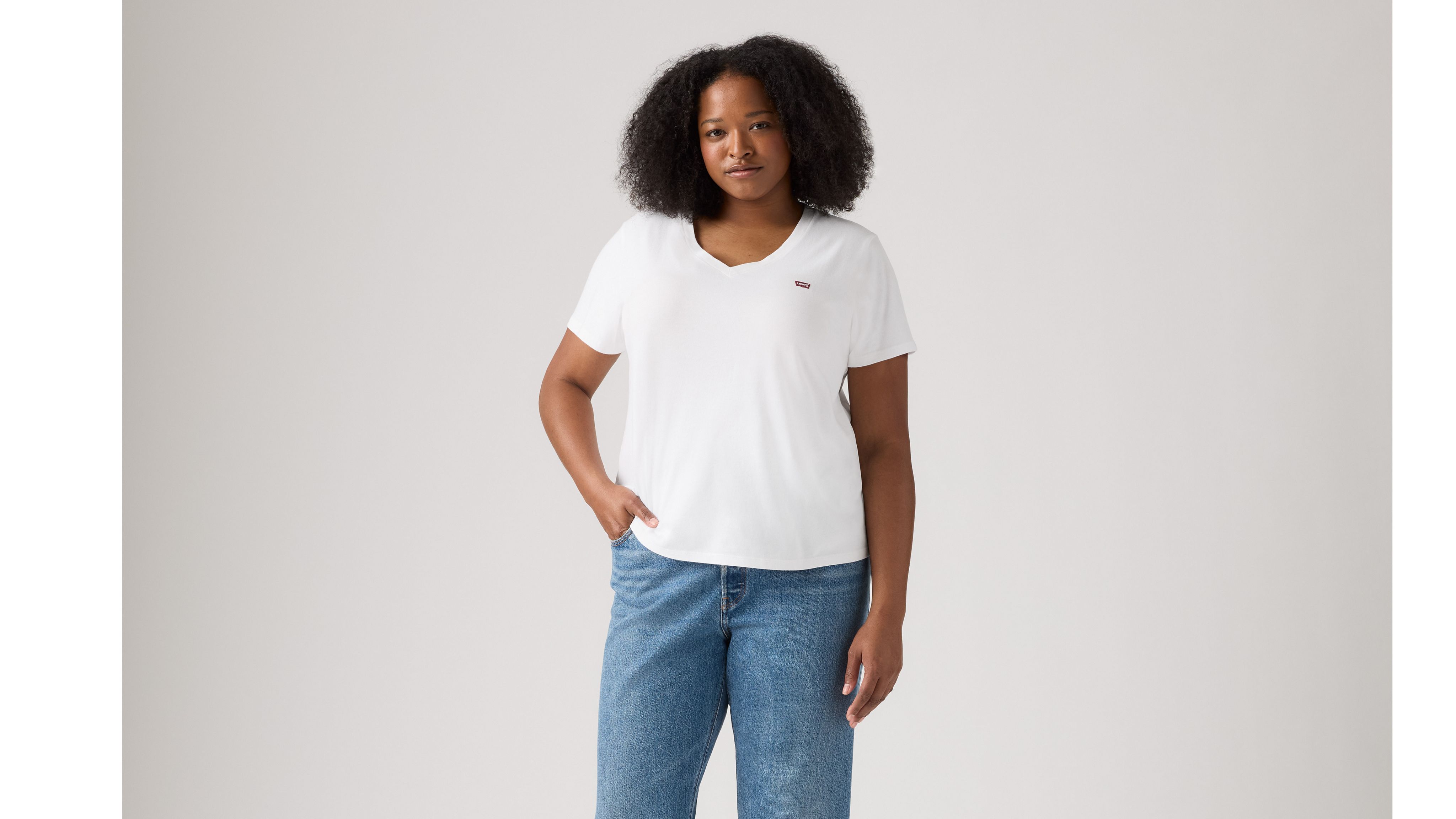 The Perfect V-Neck (Plus Size) 12