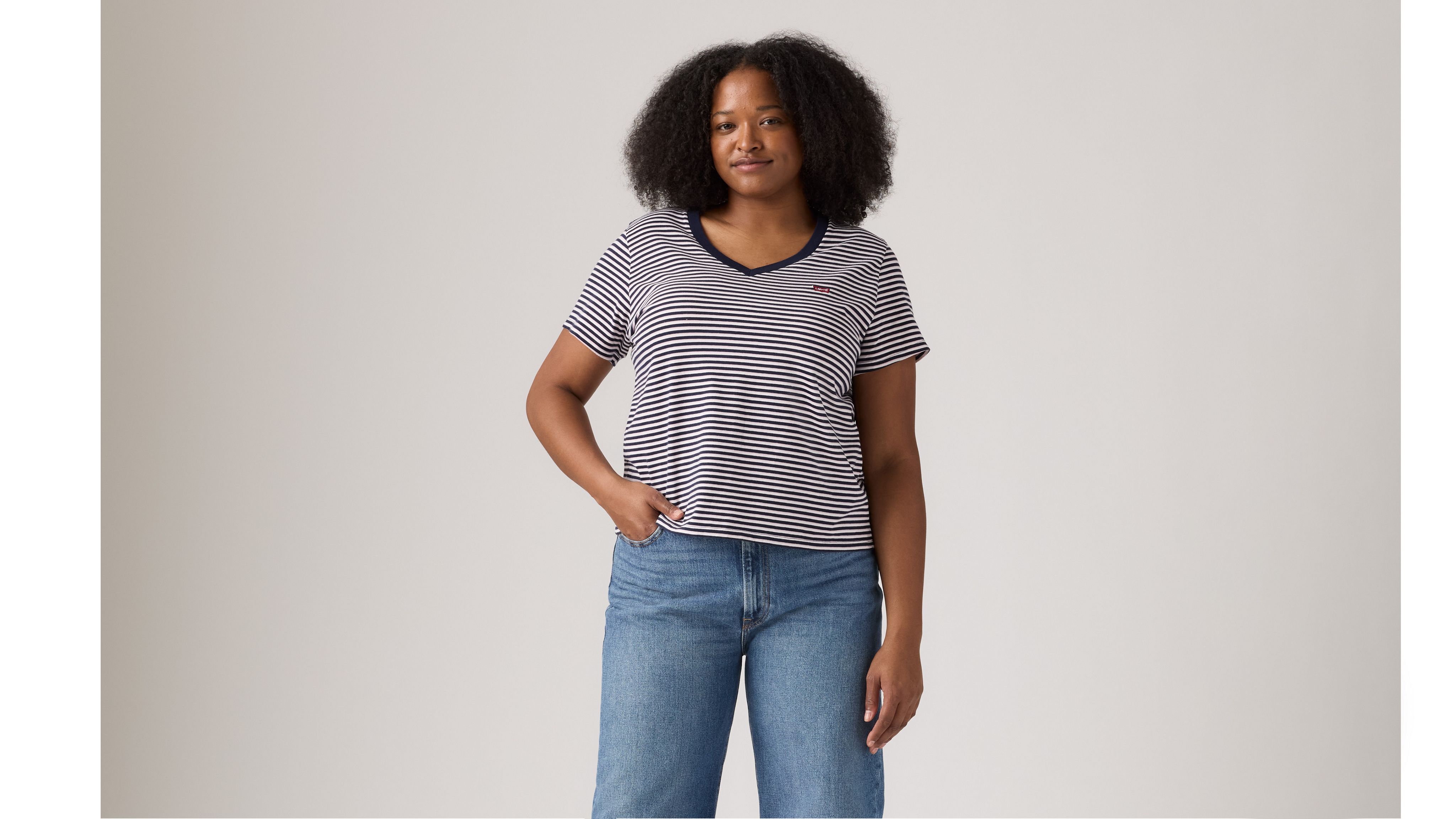 The Perfect V-Neck Tee (Plus Size) 2