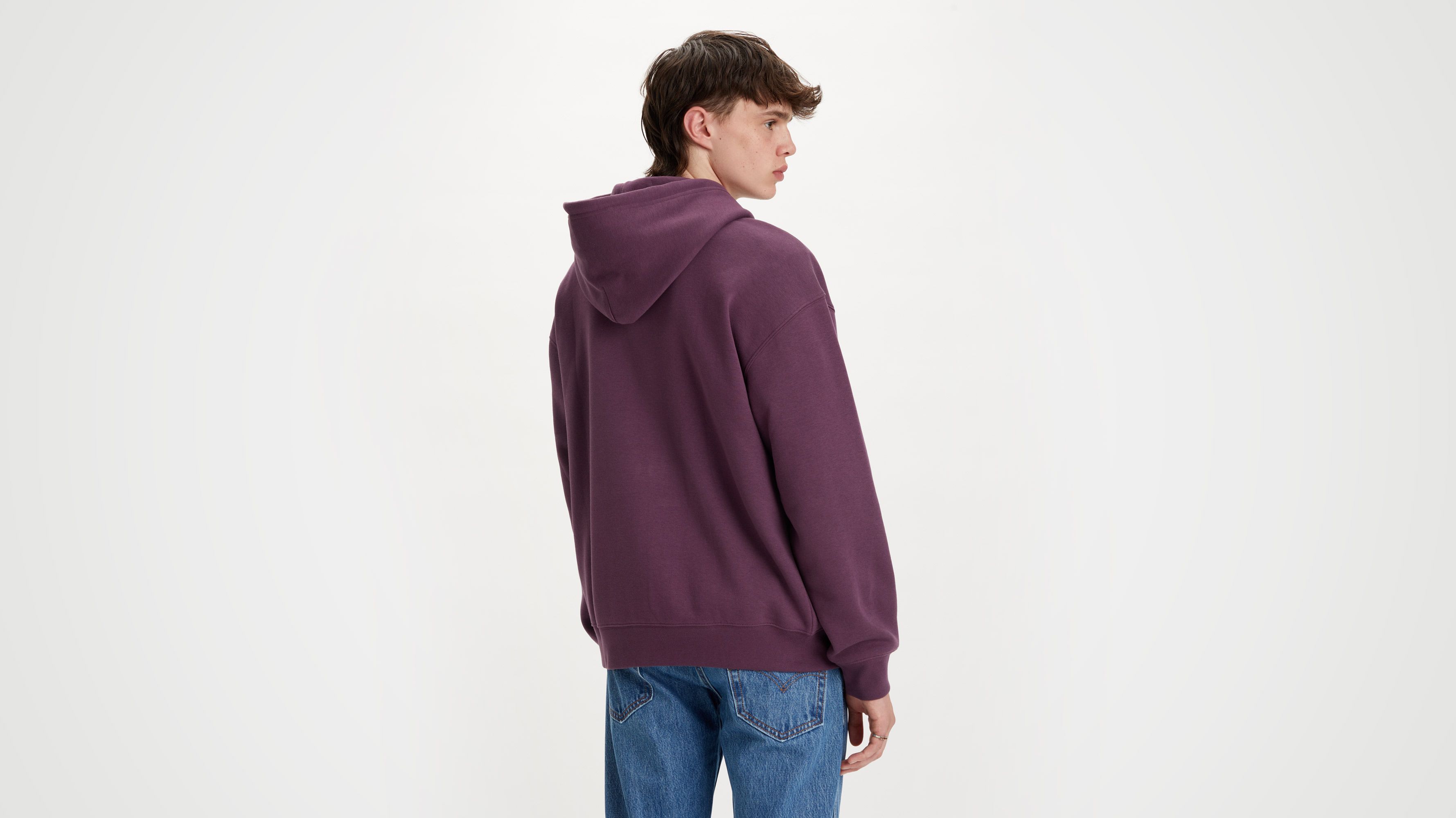 Seasonal Hoodie - Blue | Levi's® KZ