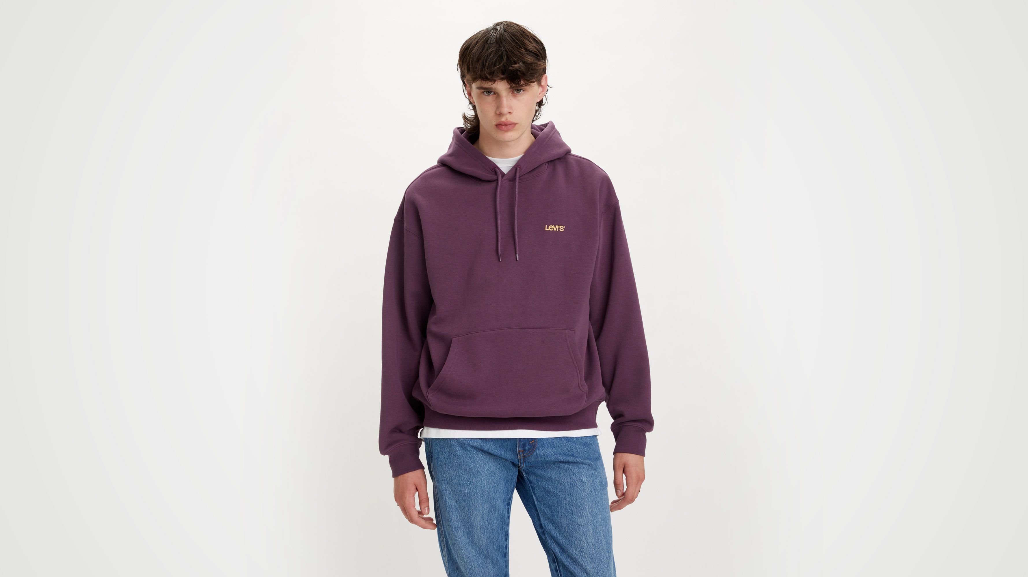 Seasonal Hoodie - Blue | Levi's® KZ