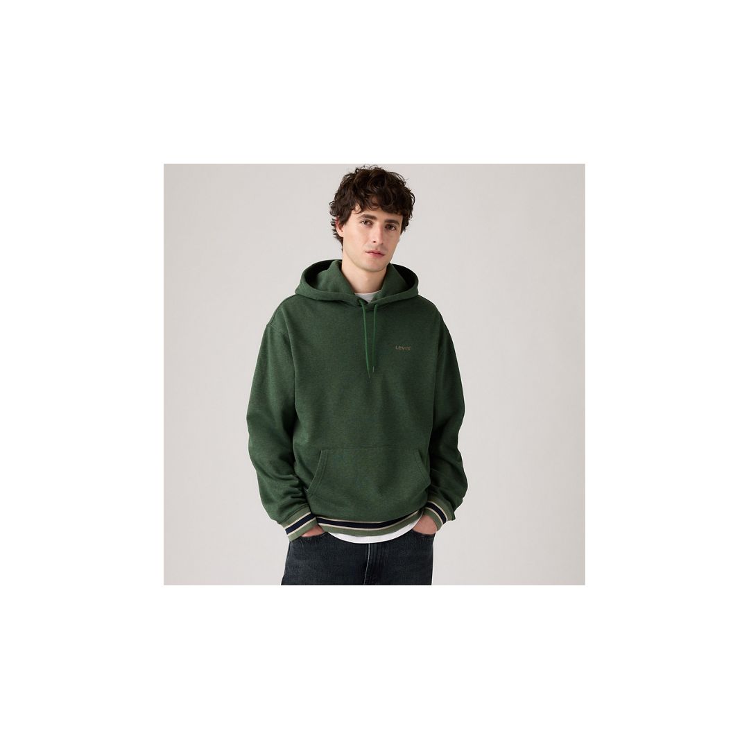 Levi's Seasonal Hoodie Sweatshirt In Green