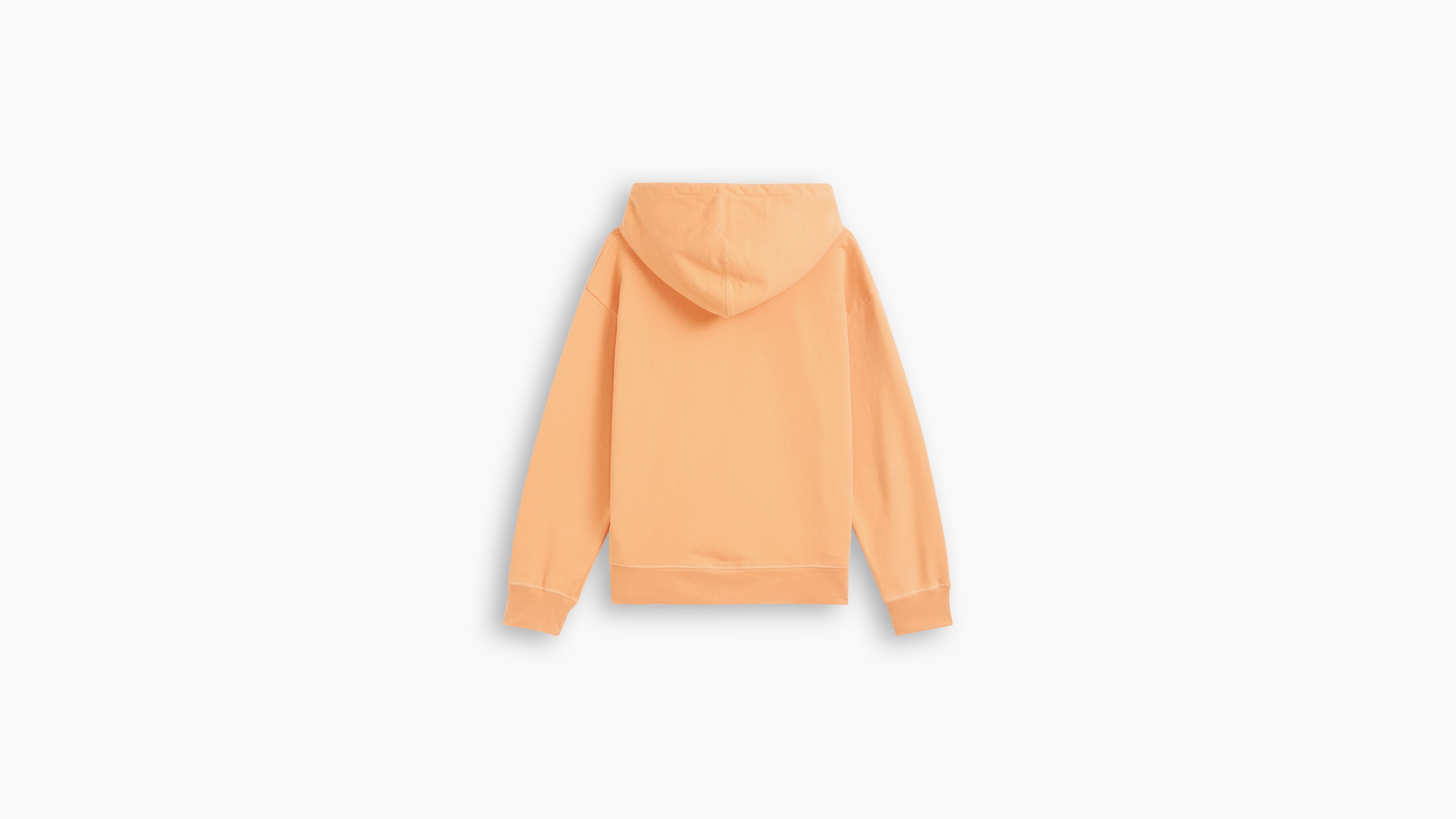 Standard Hoodie 2