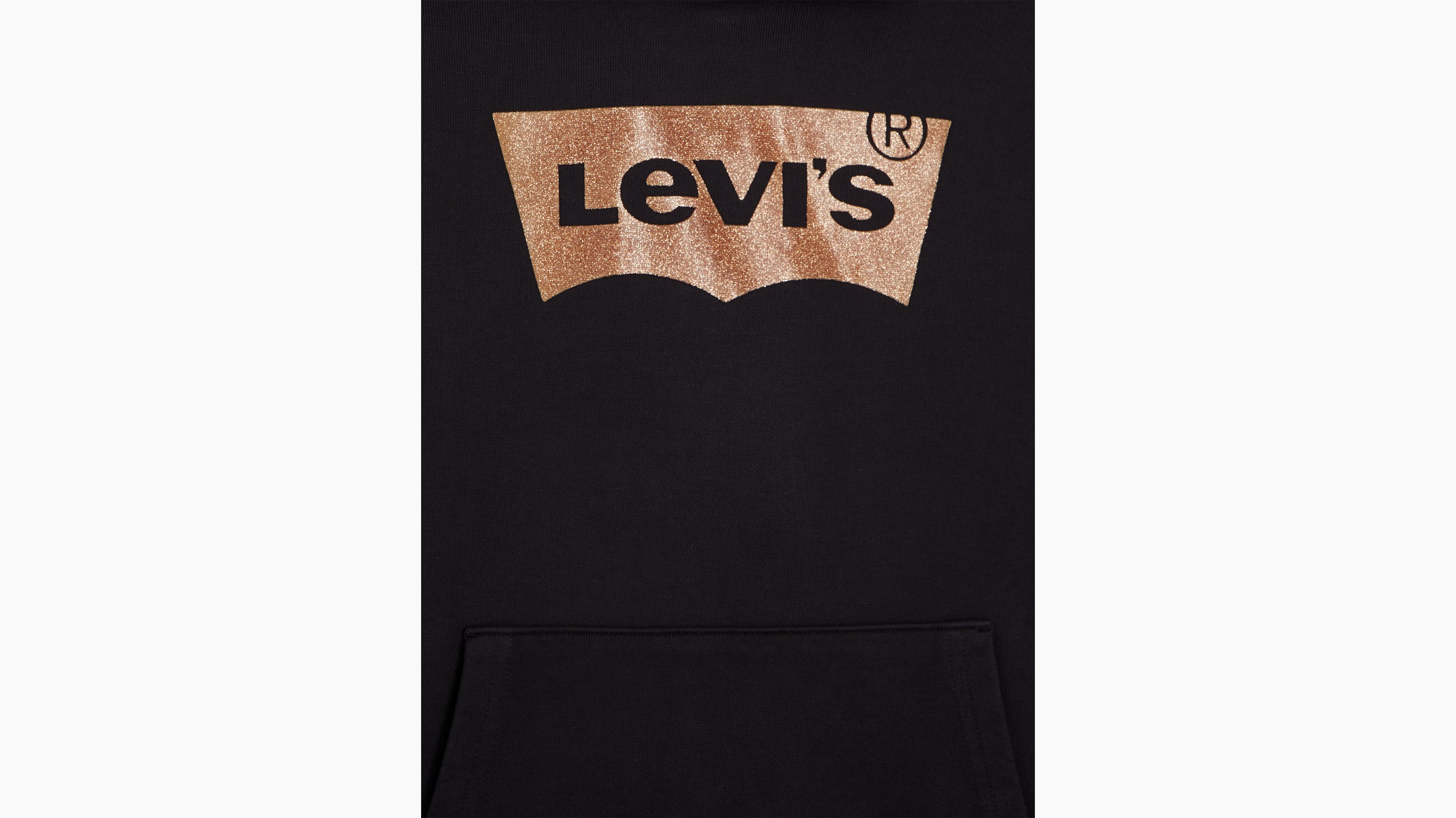 Sweat à capuche graphique standard 5