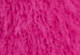 Festival Fuchsia - Pink - Cat Cardigan Sweater
