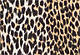 Leopard - Multi-Color - Zaida Blouse
