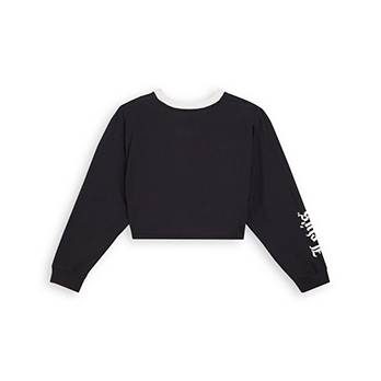 Graphic Long Sleeve Cropped Reese Sweater 6