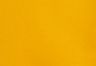 Golden Orange - Orange - Gold Tab™ Sweatpants