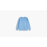 Sweatshirt Practice Levi\'s® | Rundhalsausschnitt Blau DE - Mit