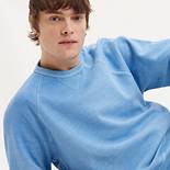 Practice Sweatshirt Mit Rundhalsausschnitt - Blau | Levi's® DE