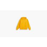 Gold Tab™ Hoodie Sweatshirt 4