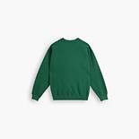 Levi's® Gold Tab™ Crewneck Sweatshirt 5
