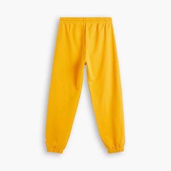 Levi's® Gold Tab™ Sweatpants 6