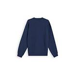Relaxed Fit Baby Tab Rundhals-Sweatshirt 6