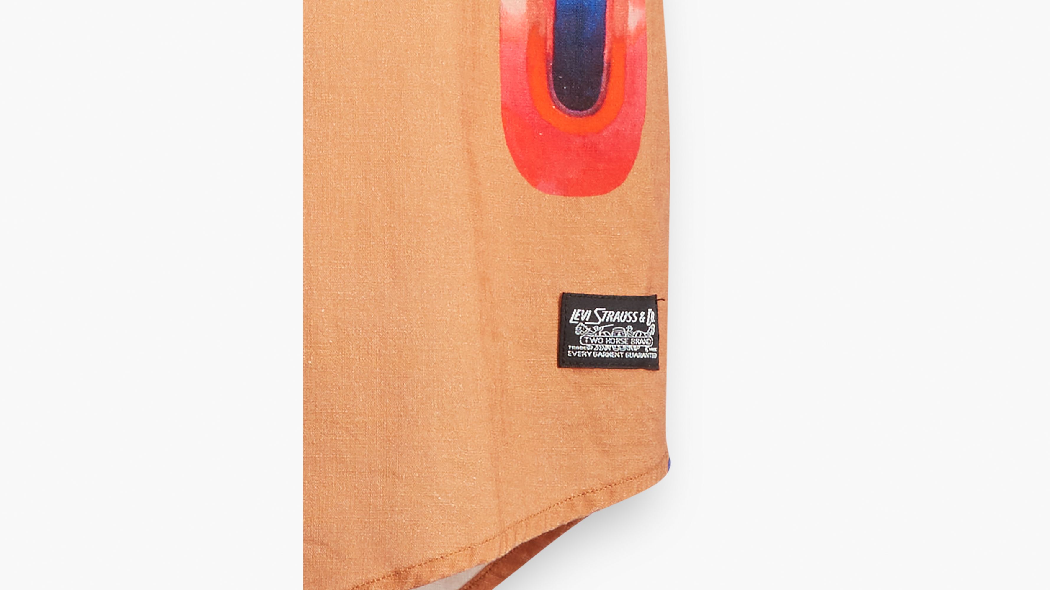 Levi's® Skateboarding Woven Shirt 7