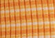 Golden - Orange - Britt Long Sleeve Snap Front Top