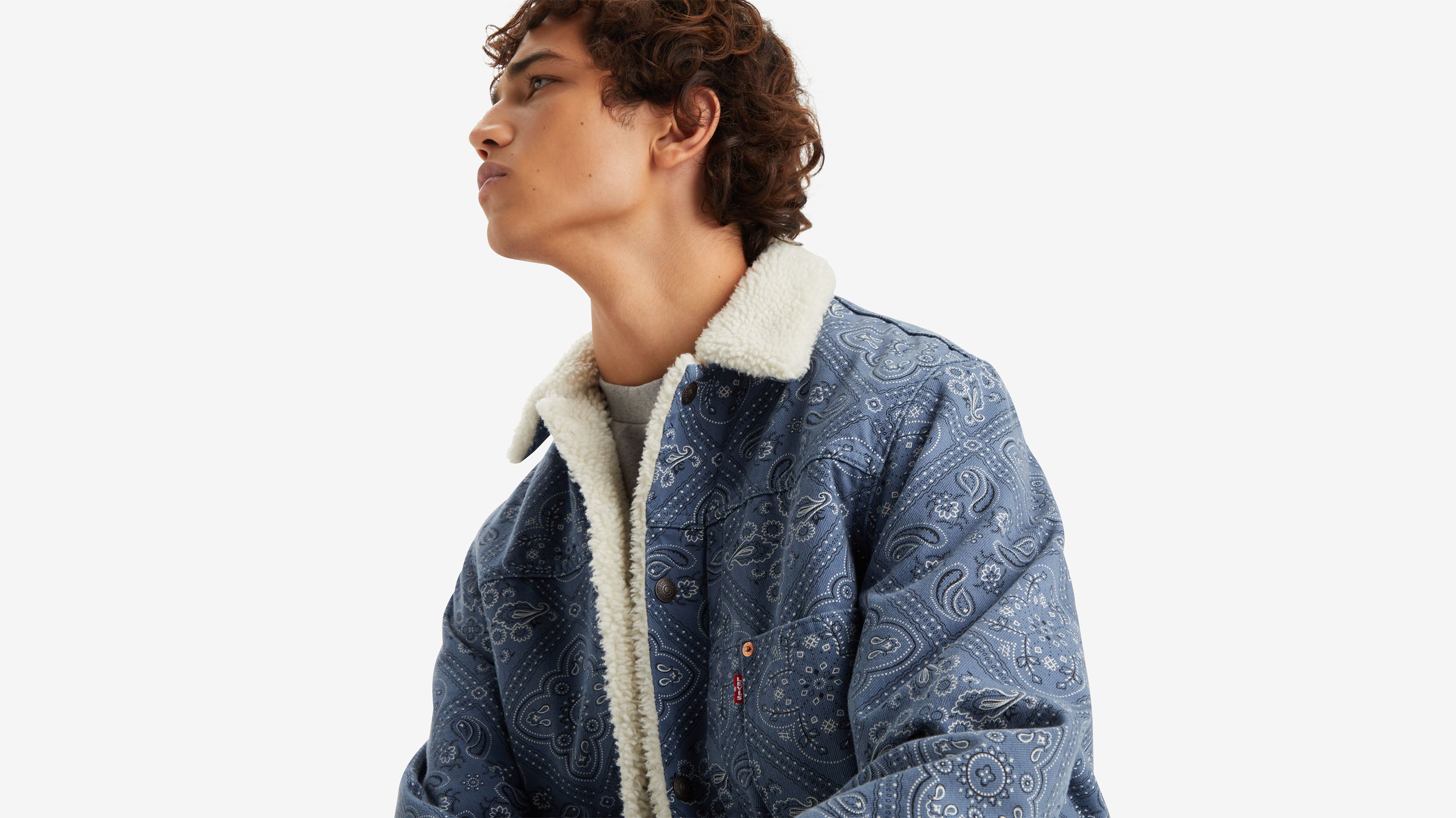 Type I Sherpa Trucker Jacket 4