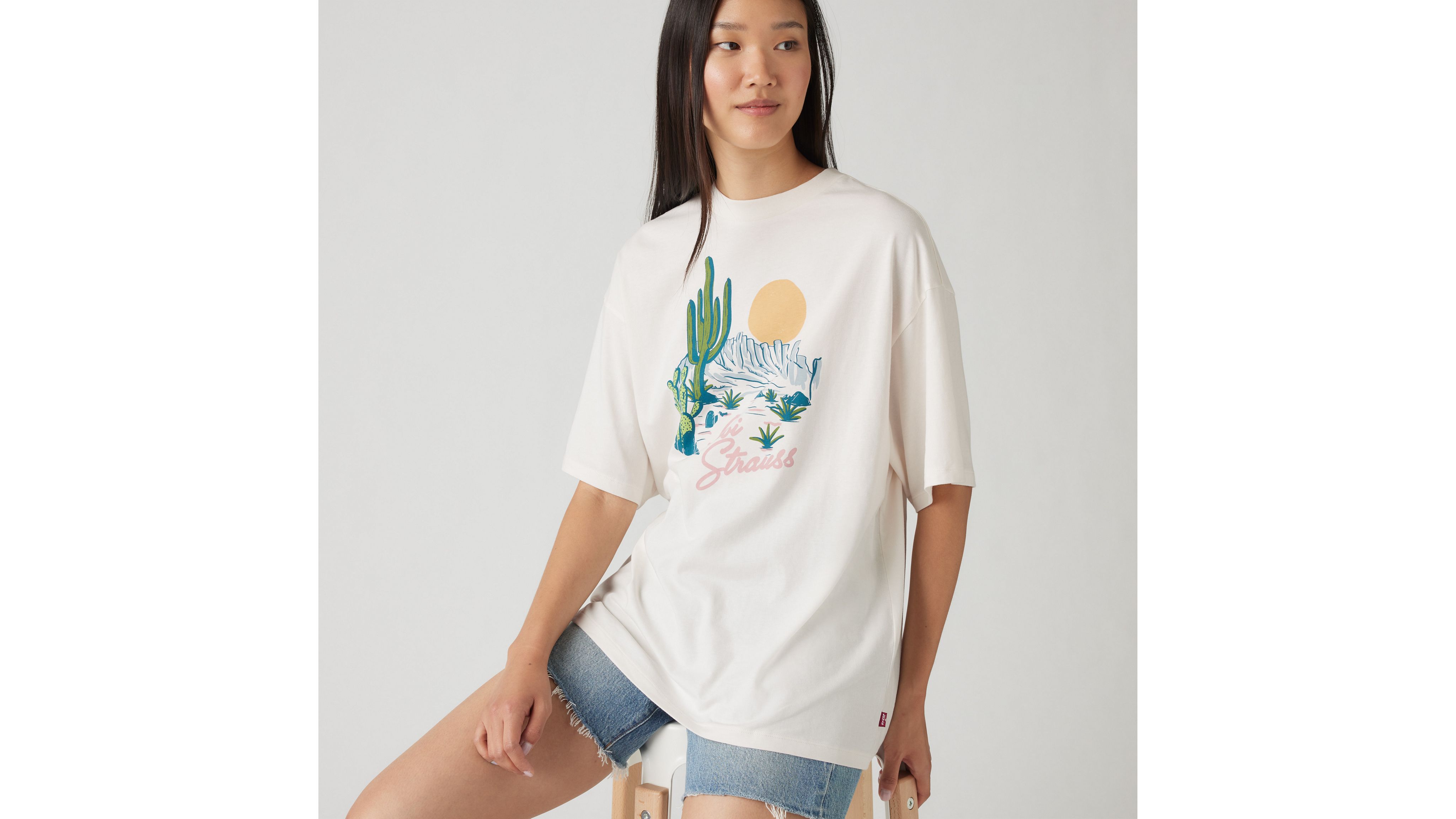 Levi's Graphic Short Stack T-shirt In Americana Desert
