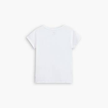 Graphic Perfect V-Neck Tee 6
