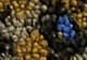 Jacquard Forrest Camo Meteorite - Multi Colour