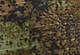 Forrest Camo Olive Night - Green