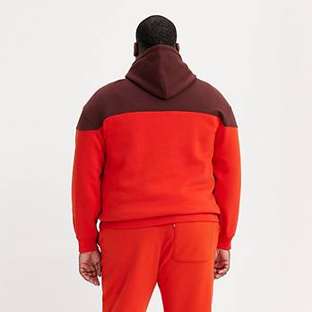 Colorblocked Hoodie Sweatshirt (Big) 2