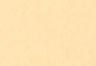 Garment Dye Straw - Yellow
