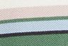 Ames Stripe - Multi-Color - Standard Polo Shirt