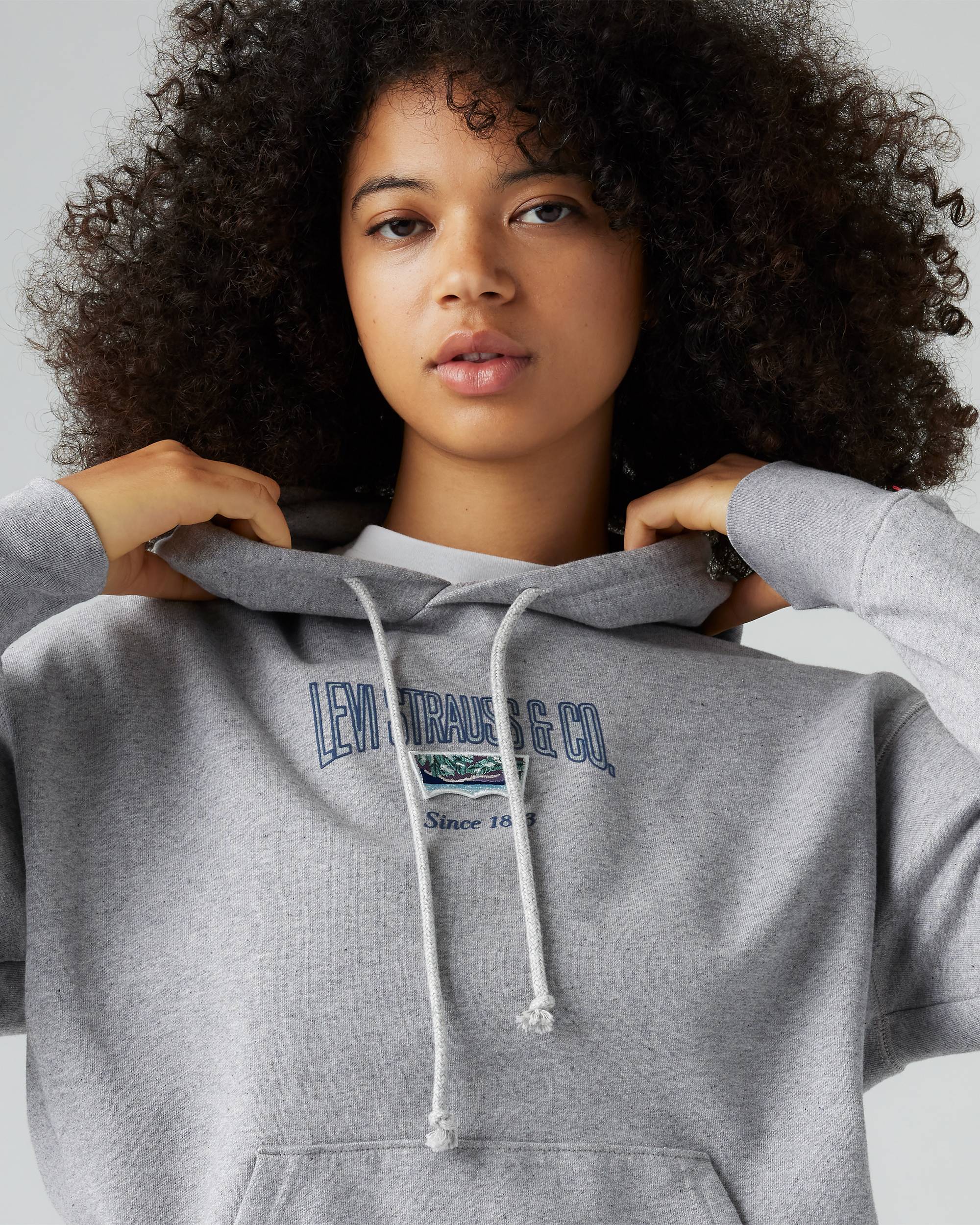 Graphic Heritage Hoodie Sweatshirt - Grey | Levi's® US Graphic Heritage Hoodie Sweatshirt - Grey | Levi's® US