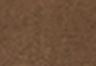 Dark Earth - Brown - Utility Women's Shorts