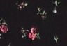 Smaller Isabel Geranium Pink - Veelkleurig - Mylene minijurk