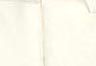 Egret - White - Western Short Bubble Puffer Jacket