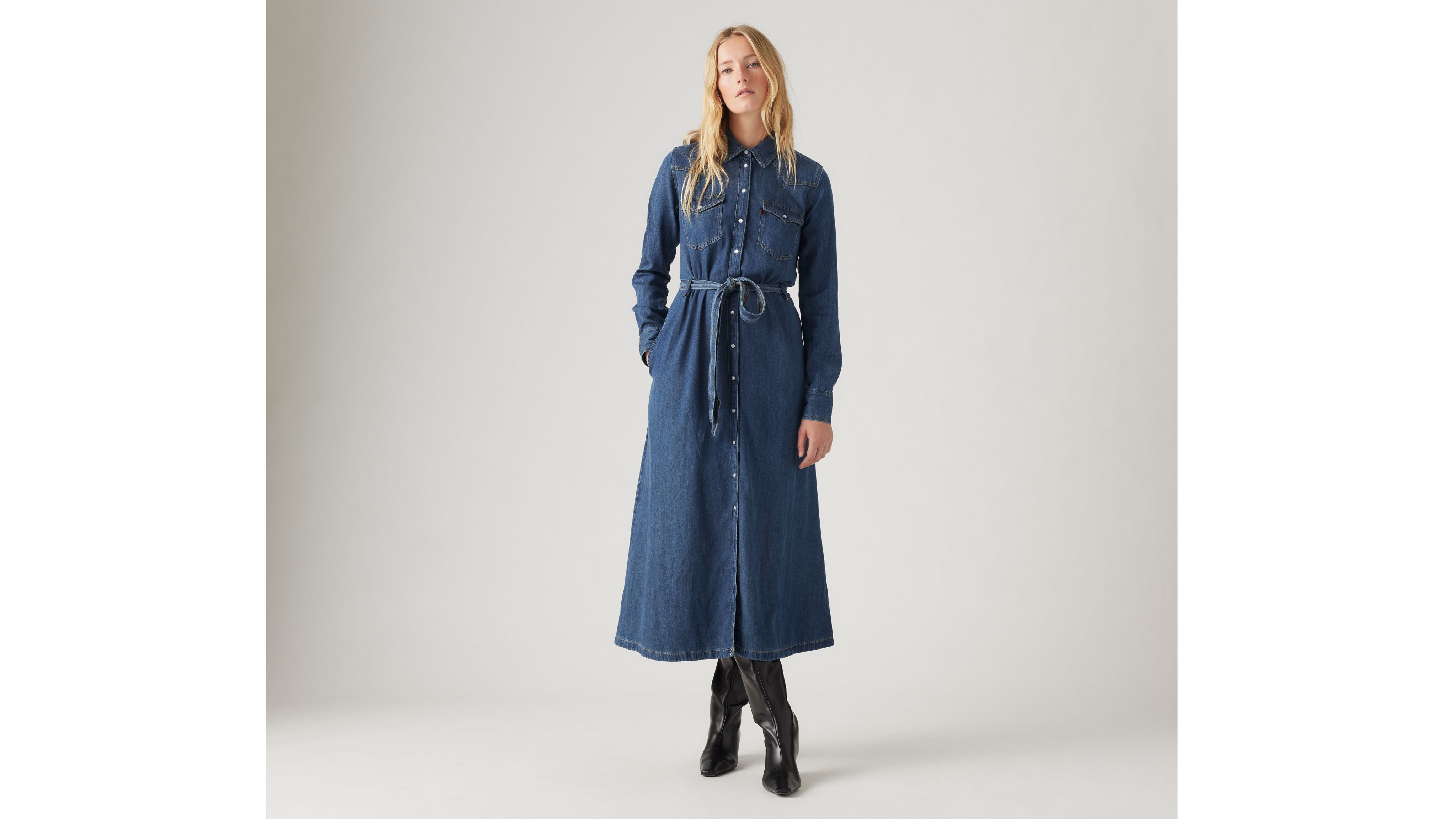 Quinney Denim Dress