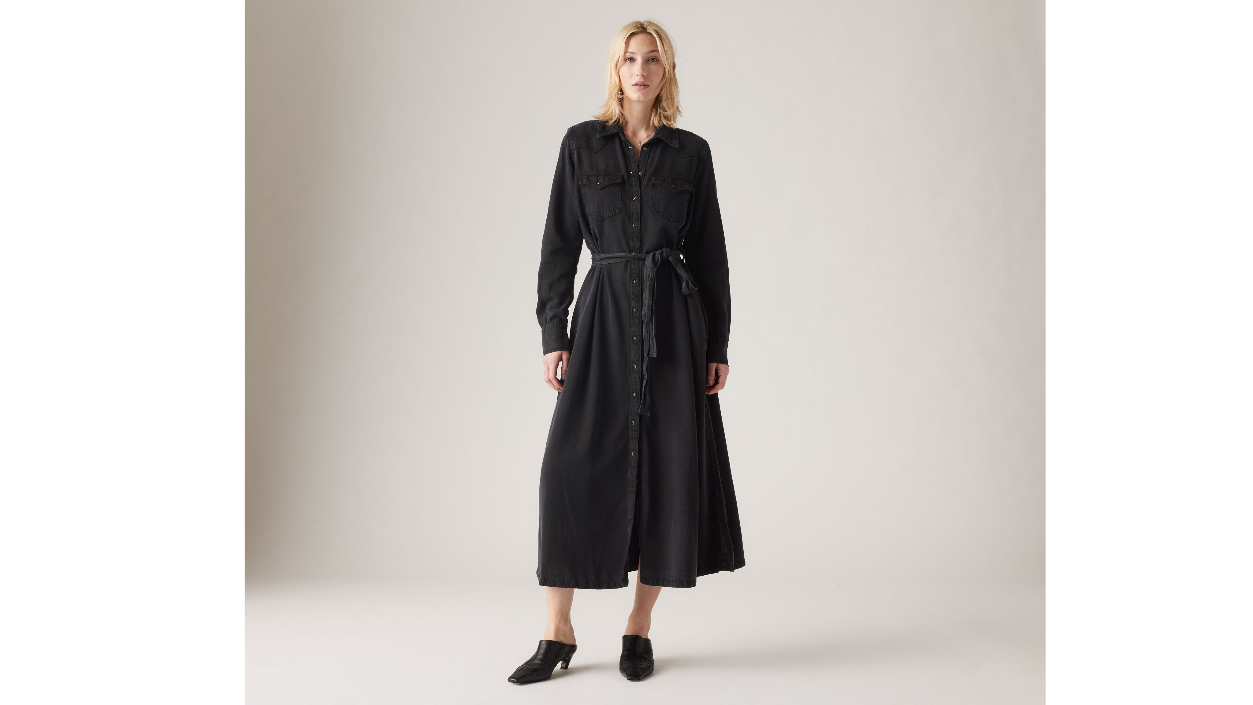 Quinney Denim Dress 2