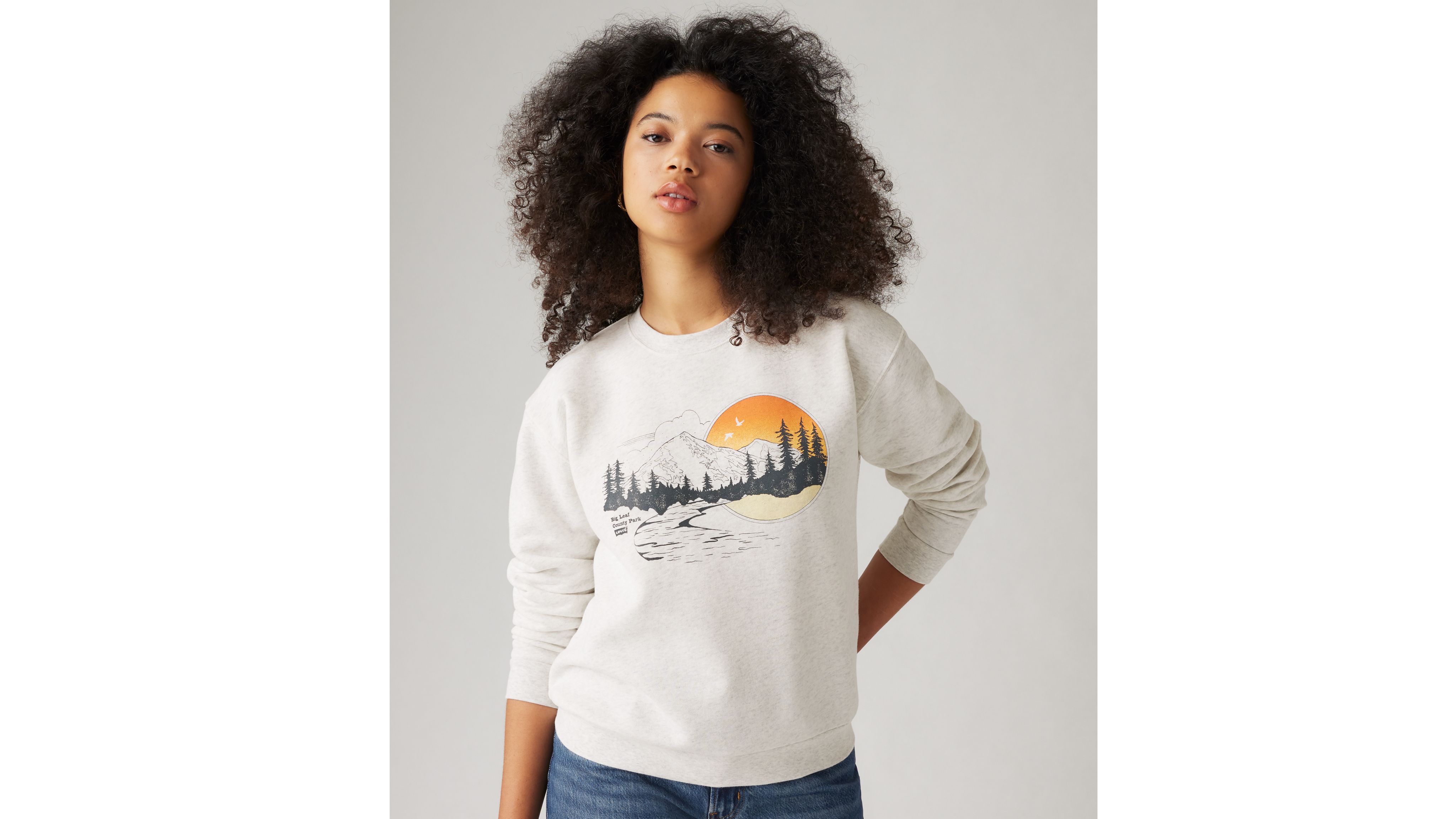 Levi's Graphic Everyday Crewneck Sweatshirt - Women's L